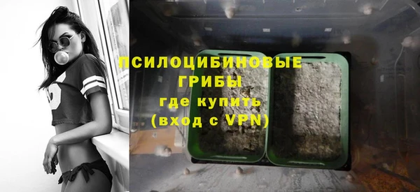 кокаин Богданович