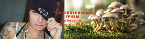 экстази Богородск