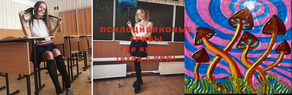 экстази Богородск