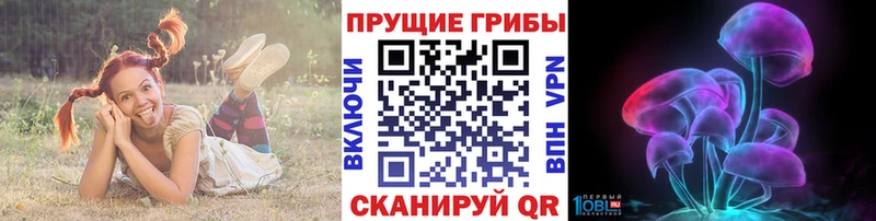 Галлюциногенные грибы Cubensis  где найти наркотики  мега как зайти  Новый Уренгой 