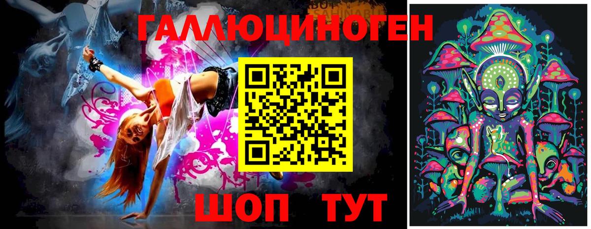 Галлюциногенные грибы Psilocybe Новый Уренгой