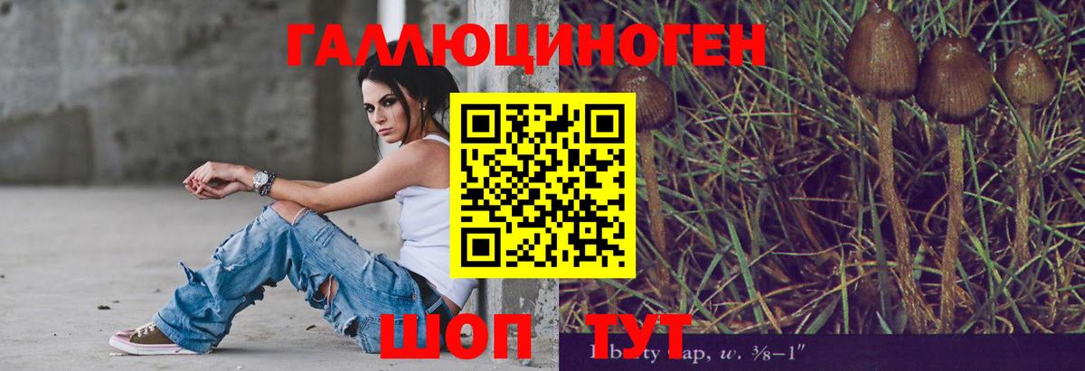 Новый Уренгой  Псилоцибиновые грибы мухоморы  Вход с VPN 
